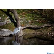 Tamron 100-400mm F/4.5-6.3 Di Vc Usd (Canon) (A035E)
