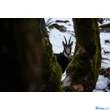 Tamron 100-400mm F/4.5-6.3 Di Vc Usd (Canon) (A035E)