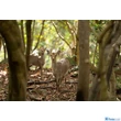 Tamron 70-180mm f/2.8 Di lll VXD (Sony E) (A056SF)