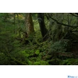 Tamron 70-180mm f/2.8 Di lll VXD (Sony E) (A056SF)