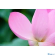 Tamron 70-300mm f/4.5-6.3 Di lll RXD (Sony E) (A047SF)