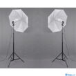 P&V Folyamatos fényű fotó izzós dupla ernyős szett - 2x 65W/325W (5500k)