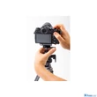 SPIDER HOLSTER Spiderlight plate+pin