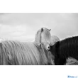 Tamron 28-75mm f/2.8 Di lll RXD (Sony E) (A036SF)